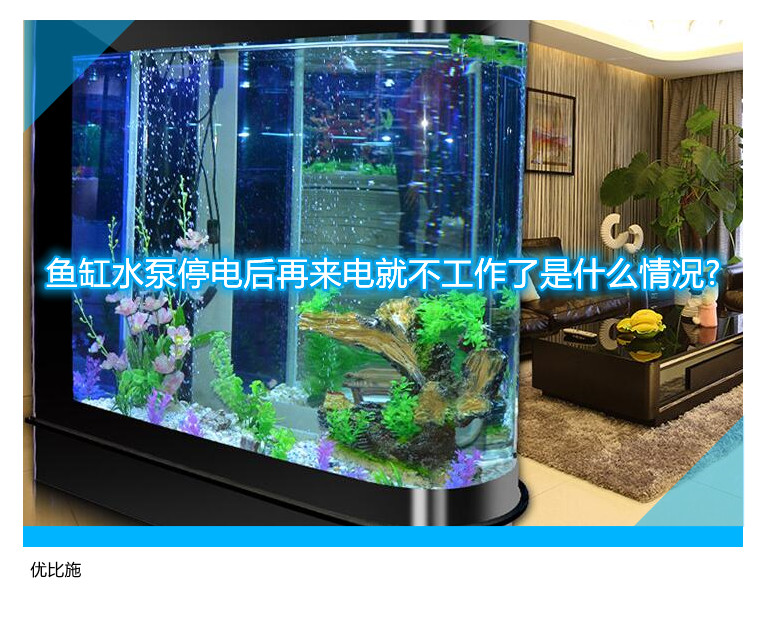 魚缸水泵停電后再來電就不工作了是什么情況?